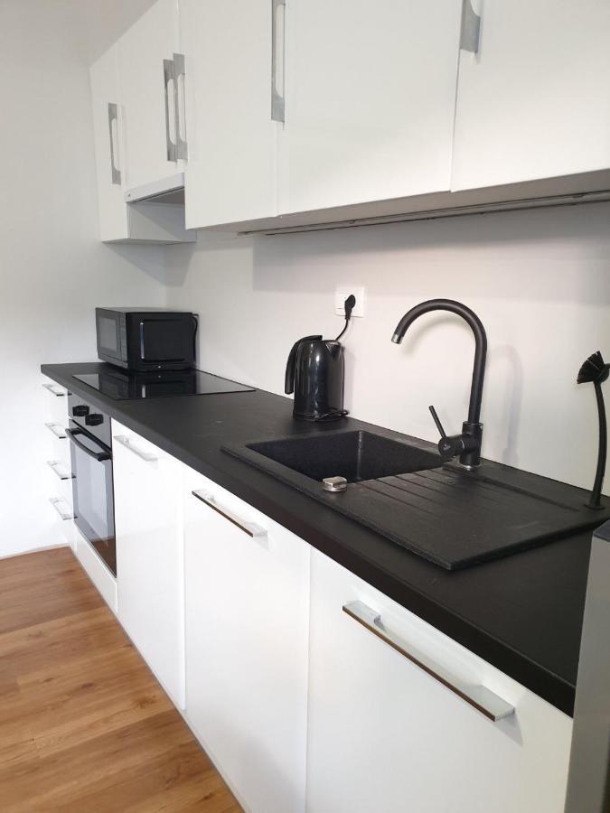 Huge BBQ Garden, Spacious Flat, AC, Free Parking 2 Liubliana Exterior foto