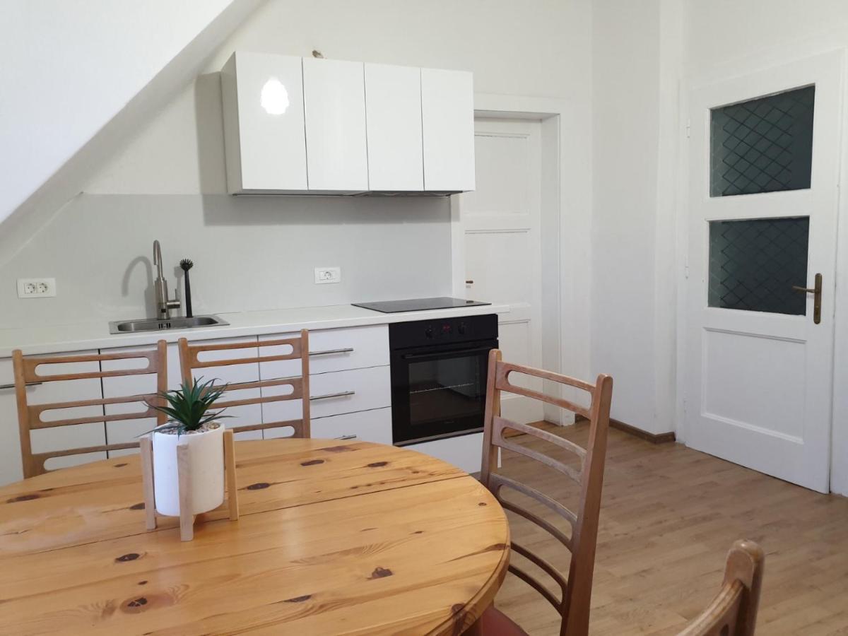 Huge BBQ Garden, Spacious Flat, AC, Free Parking 2 Liubliana Exterior foto