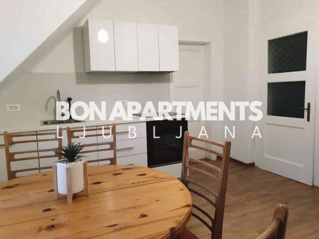 Huge BBQ Garden, Spacious Flat, AC, Free Parking 2 Liubliana Exterior foto