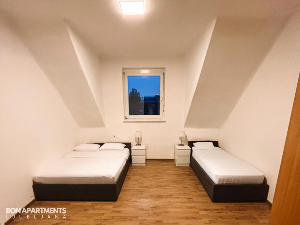 Huge BBQ Garden, Spacious Flat, AC, Free Parking 2 Liubliana Exterior foto